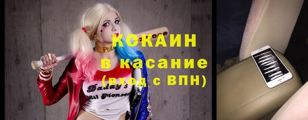 прущие грибы Алексин