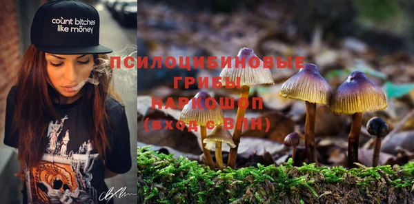 прущие грибы Алексин