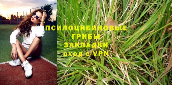 прущие грибы Алексин